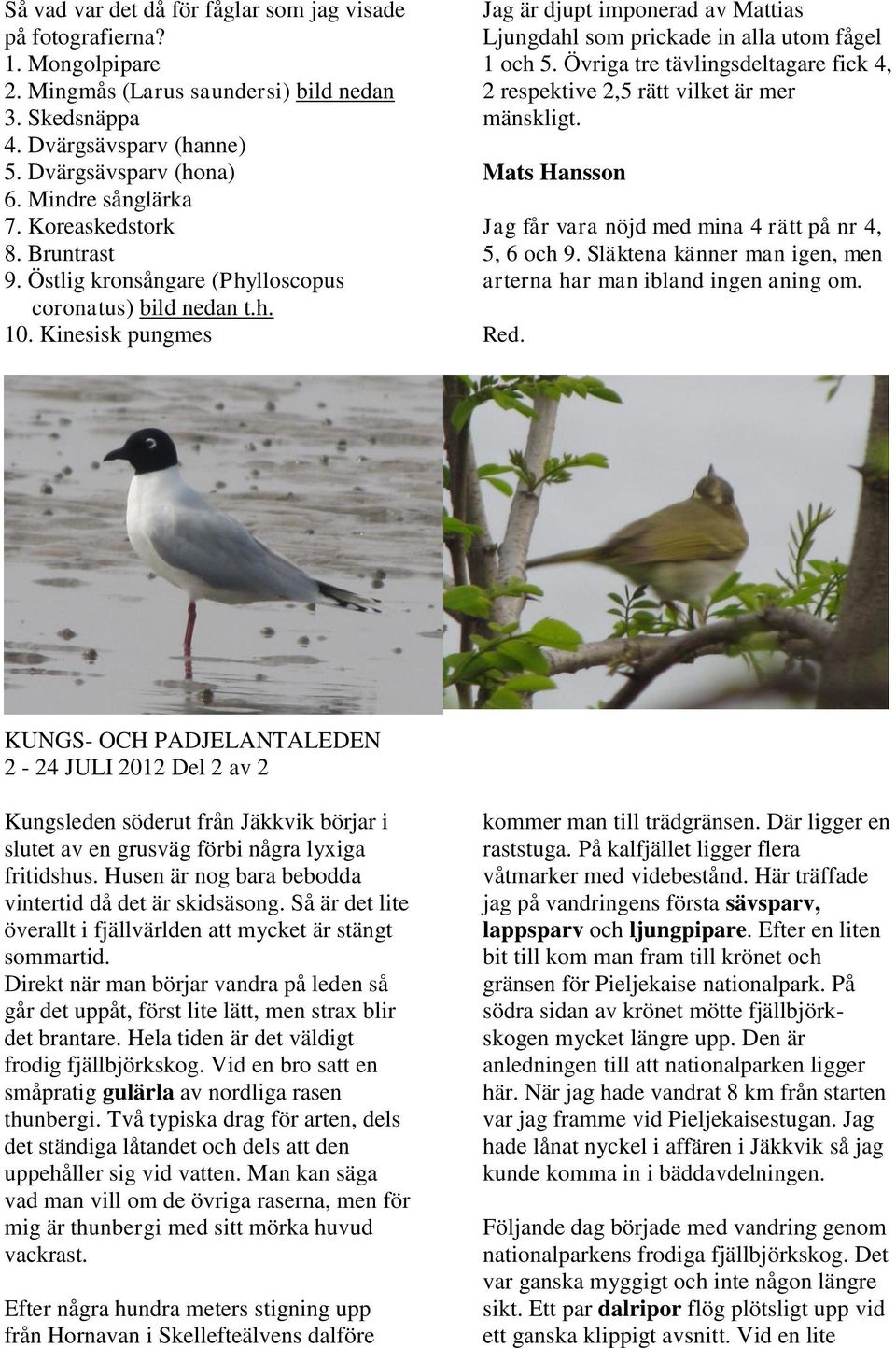 Kinesisk pungmes Jag är djupt imponerad av Mattias Ljungdahl som prickade in alla utom fågel 1 och 5. Övriga tre tävlingsdeltagare fick 4, 2 respektive 2,5 rätt vilket är mer mänskligt.