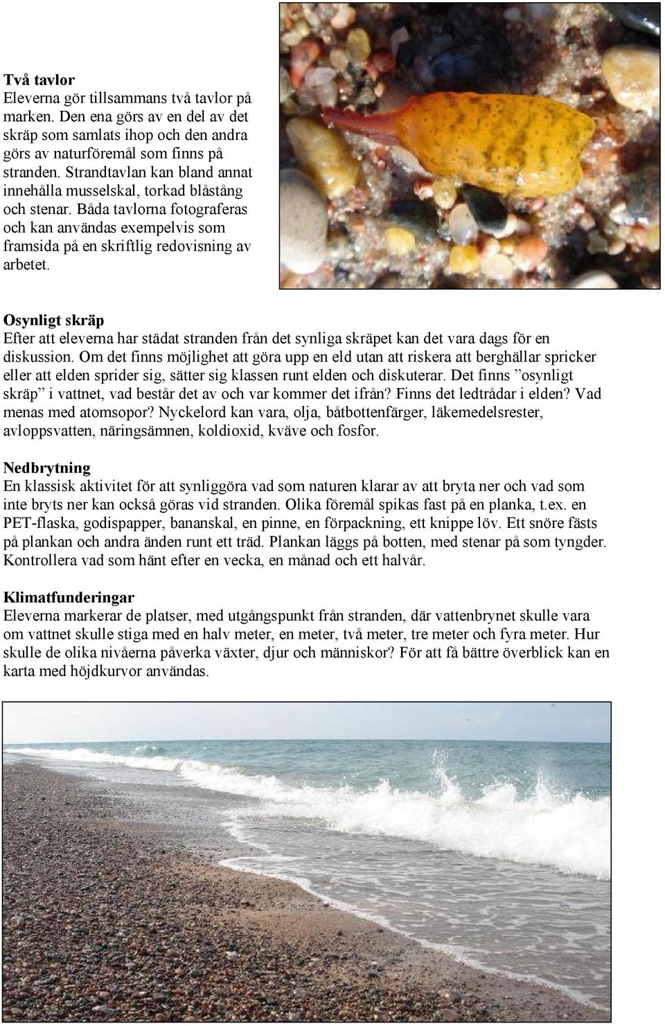 Osynligt skräp Efter att elevernahar städat strandenfrån det synliga skräpet kandet vara dags fören diskussion.