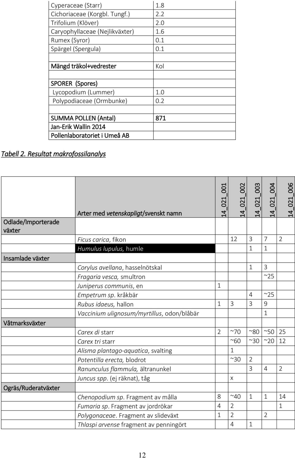 Resultat makrofossilanalys Odlade/Importerade växter Insamlade växter Våtmarksväxter Ogräs/Ruderatväxter Arter med vetenskapligt/svenskt namn Ficus carica, fikon 12 3 7 2 Humulus lupulus, humle 1 1