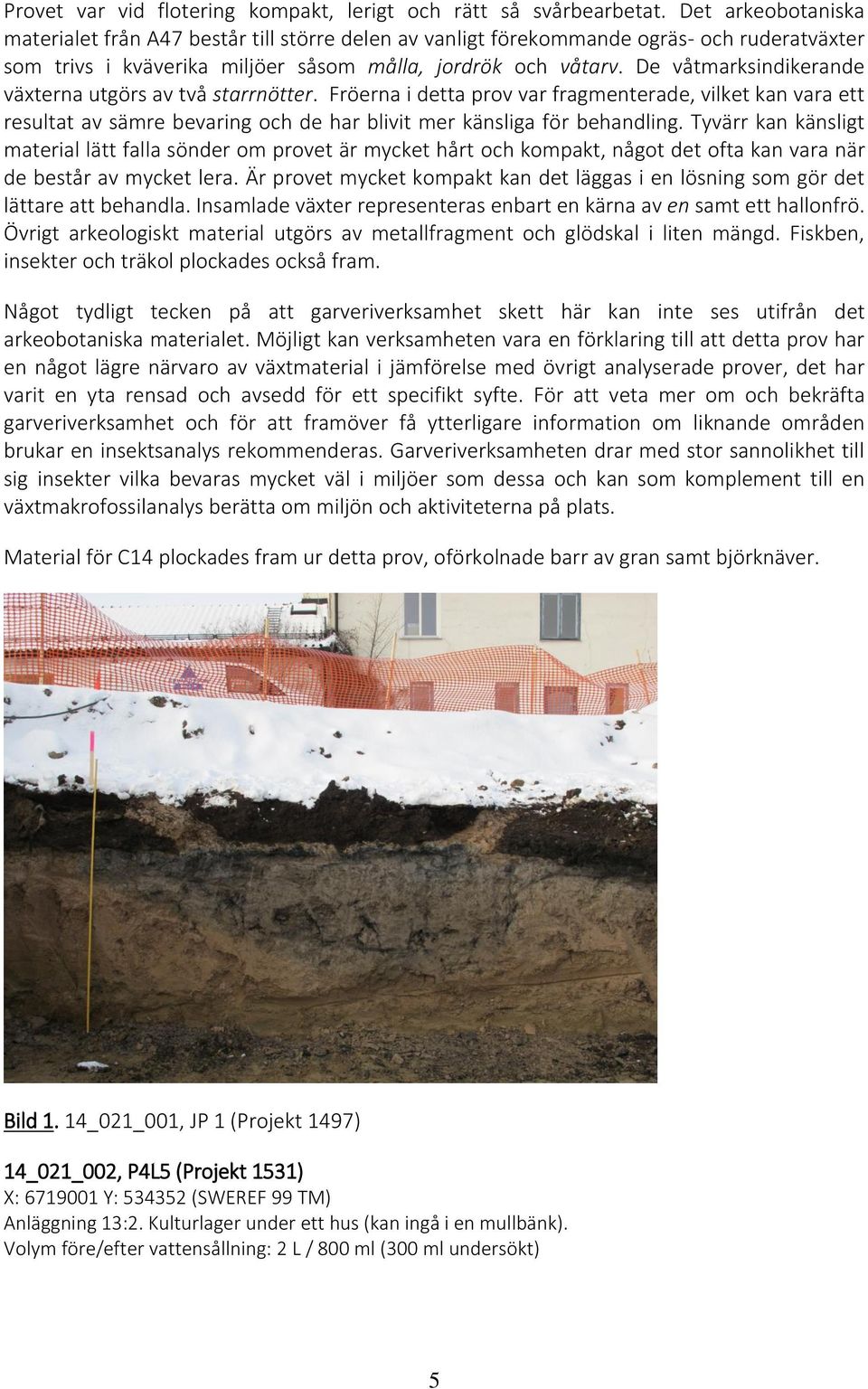 De våtmarksindikerande växterna utgörs av två starrnötter. Fröerna i detta prov var fragmenterade, vilket kan vara ett resultat av sämre bevaring och de har blivit mer känsliga för behandling.