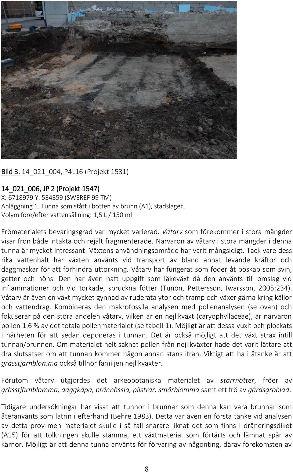 Närvaron av våtarv i stora mängder i denna tunna är mycket intressant. Växtens användningsområde har varit mångsidigt.