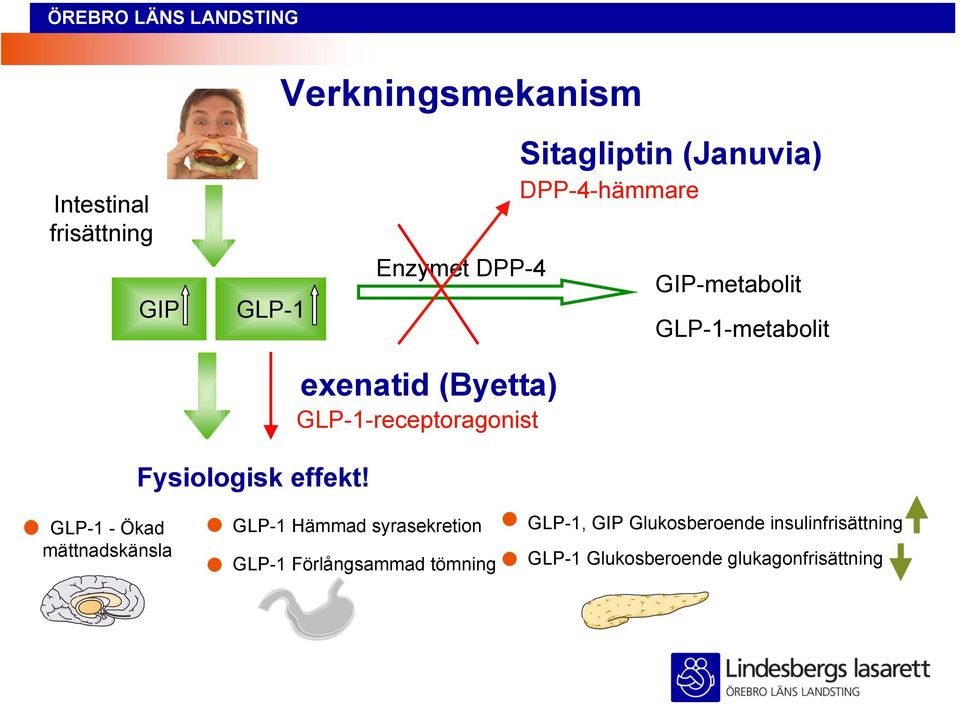(Januvia) DPP-4-hämmare GIP-metabolit GLP-1-metabolit GLP-1 - Ökad mättnadskänsla GLP-1