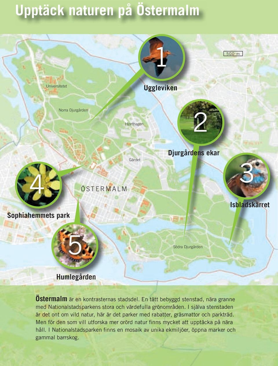 En tätt bebyggd stenstad, nära granne med Nationalstadsparkens stora och värdefulla grönområden.