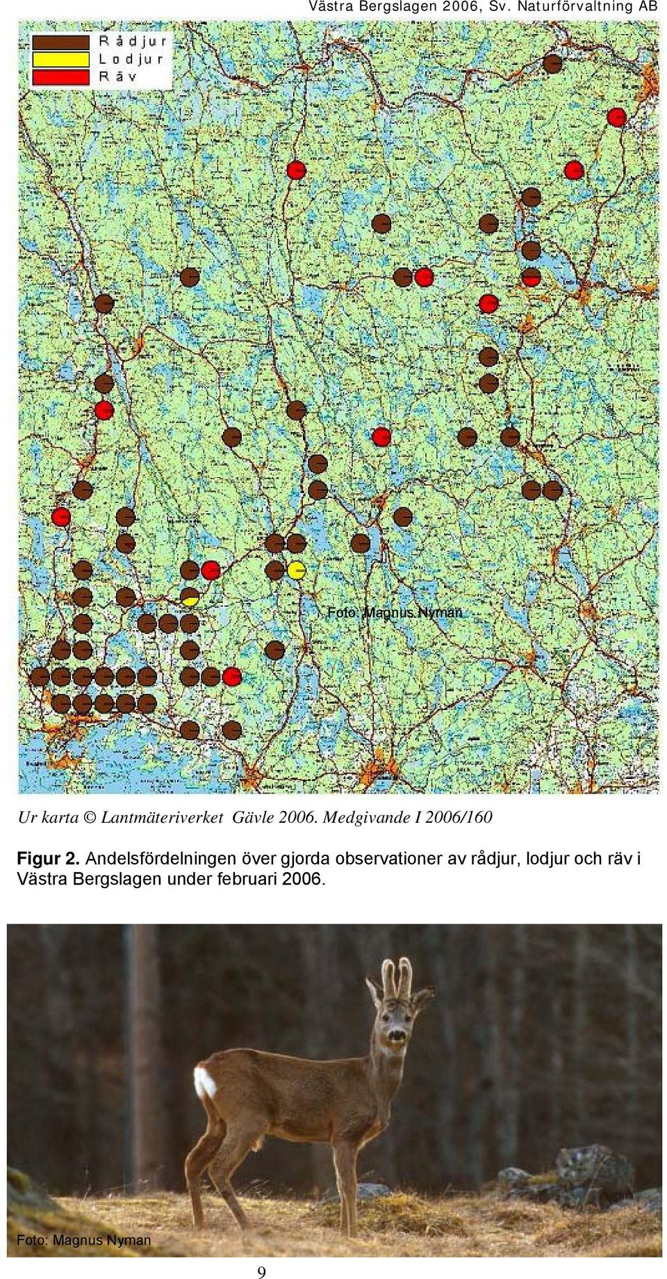 Andelsfördelningen över gjorda observationer av