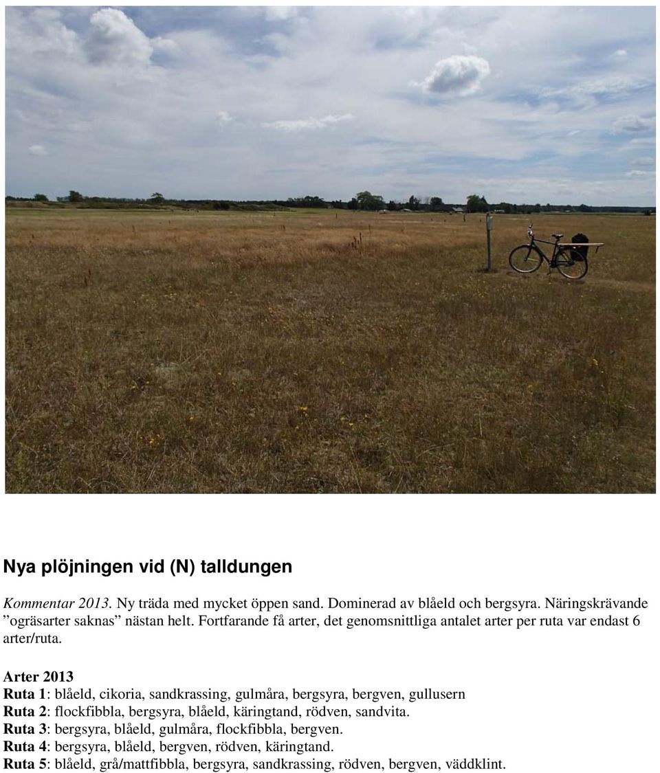Ruta 1: blåeld, cikoria, sandkrassing, gulmåra, bergsyra, bergven, gullusern Ruta 2: flockfibbla, bergsyra, blåeld, käringtand, rödven, sandvita.