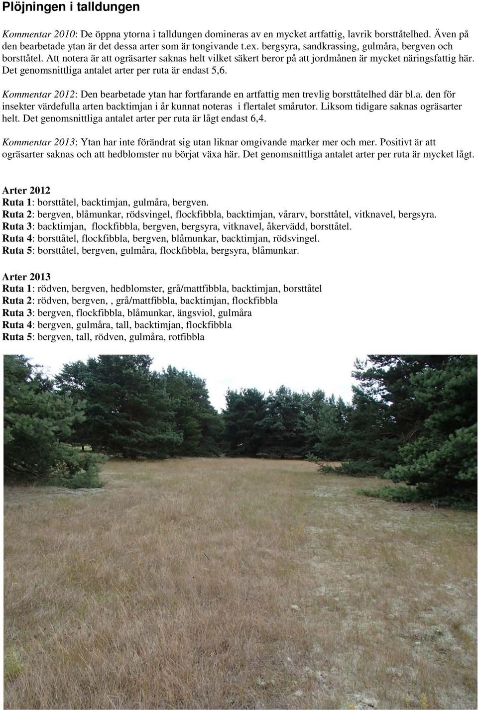 Det genomsnittliga antalet arter per ruta är endast 5,6. Kommentar 2012: Den bearbetade ytan har fortfarande en artfattig men trevlig borsttåtelhed där bl.a. den för insekter värdefulla arten backtimjan i år kunnat noteras i flertalet smårutor.
