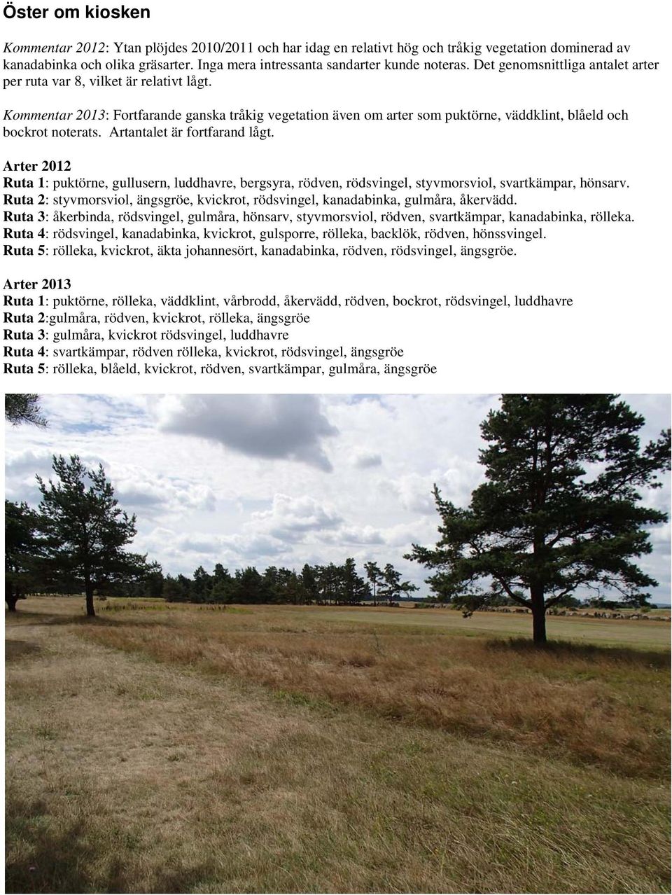 Artantalet är fortfarand lågt. Ruta 1: puktörne, gullusern, luddhavre, bergsyra, rödven, rödsvingel, styvmorsviol, svartkämpar, hönsarv.
