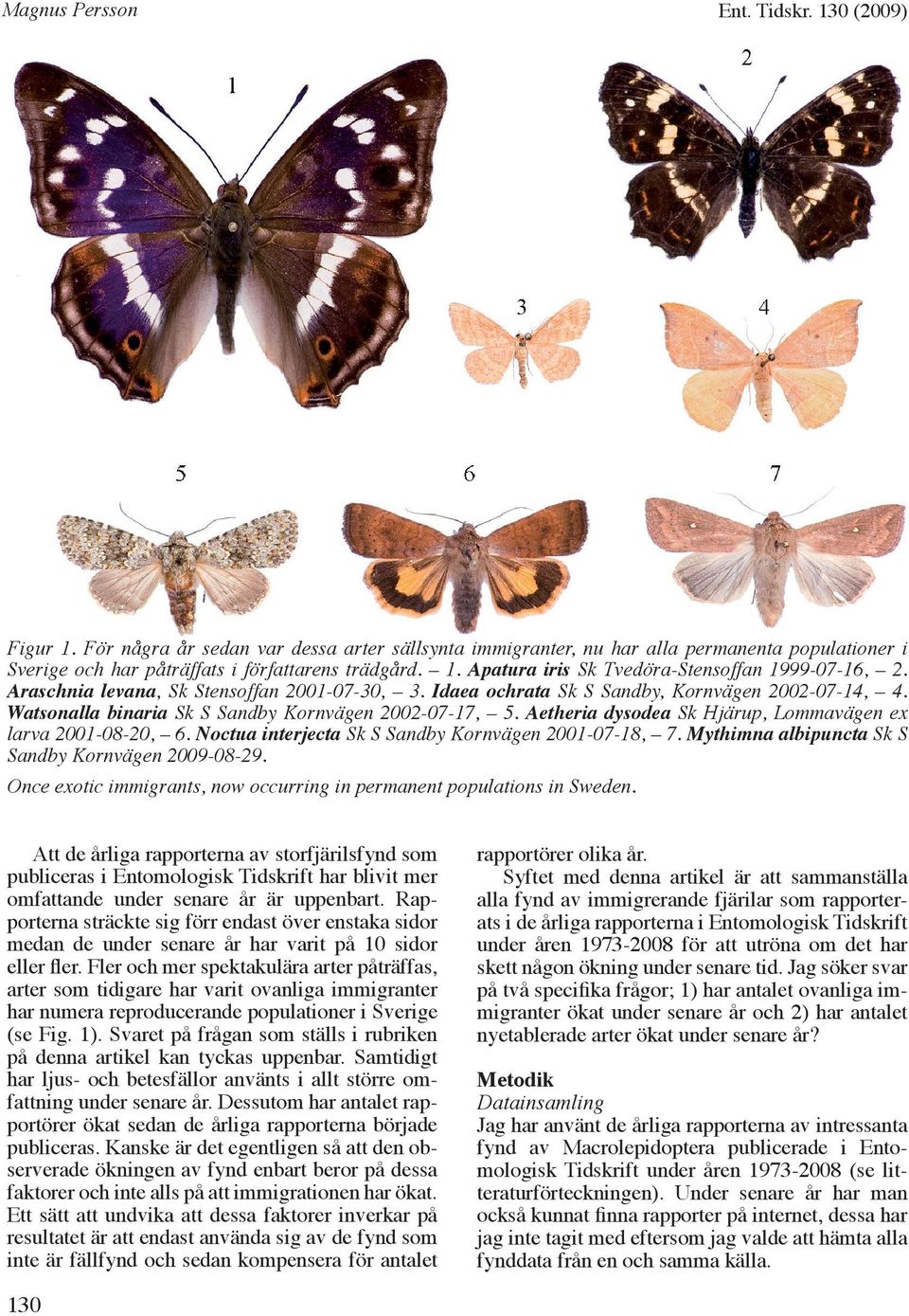 Aetheria dysodea Sk Hjärup, Lommavägen ex larva 2001-08-20, 6. Noctua interjecta Sk S Sandby Kornvägen 2001-07-18, 7. Mythimna albipuncta Sk S Sandby Kornvägen 2009-08-29.