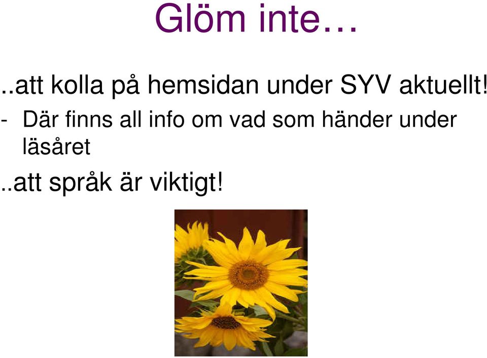 SYV aktuellt!