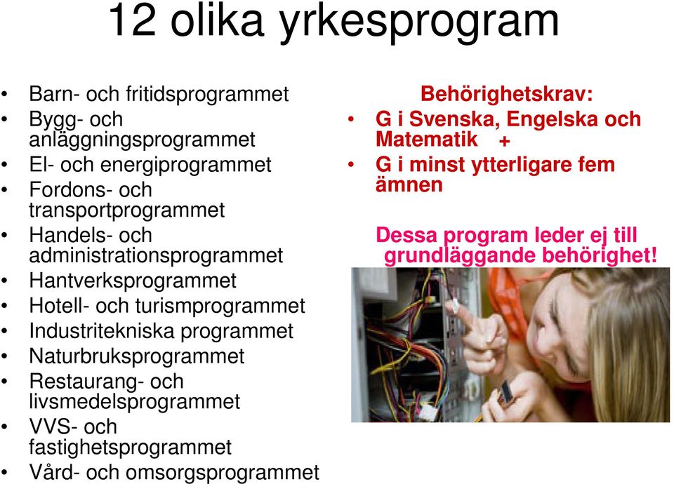 programmet Naturbruksprogrammet Restaurang- och livsmedelsprogrammet VVS- och fastighetsprogrammet Vård- och omsorgsprogrammet