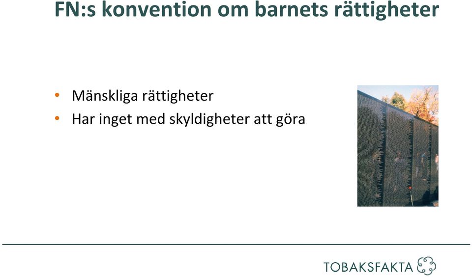 Mänskliga rättigheter