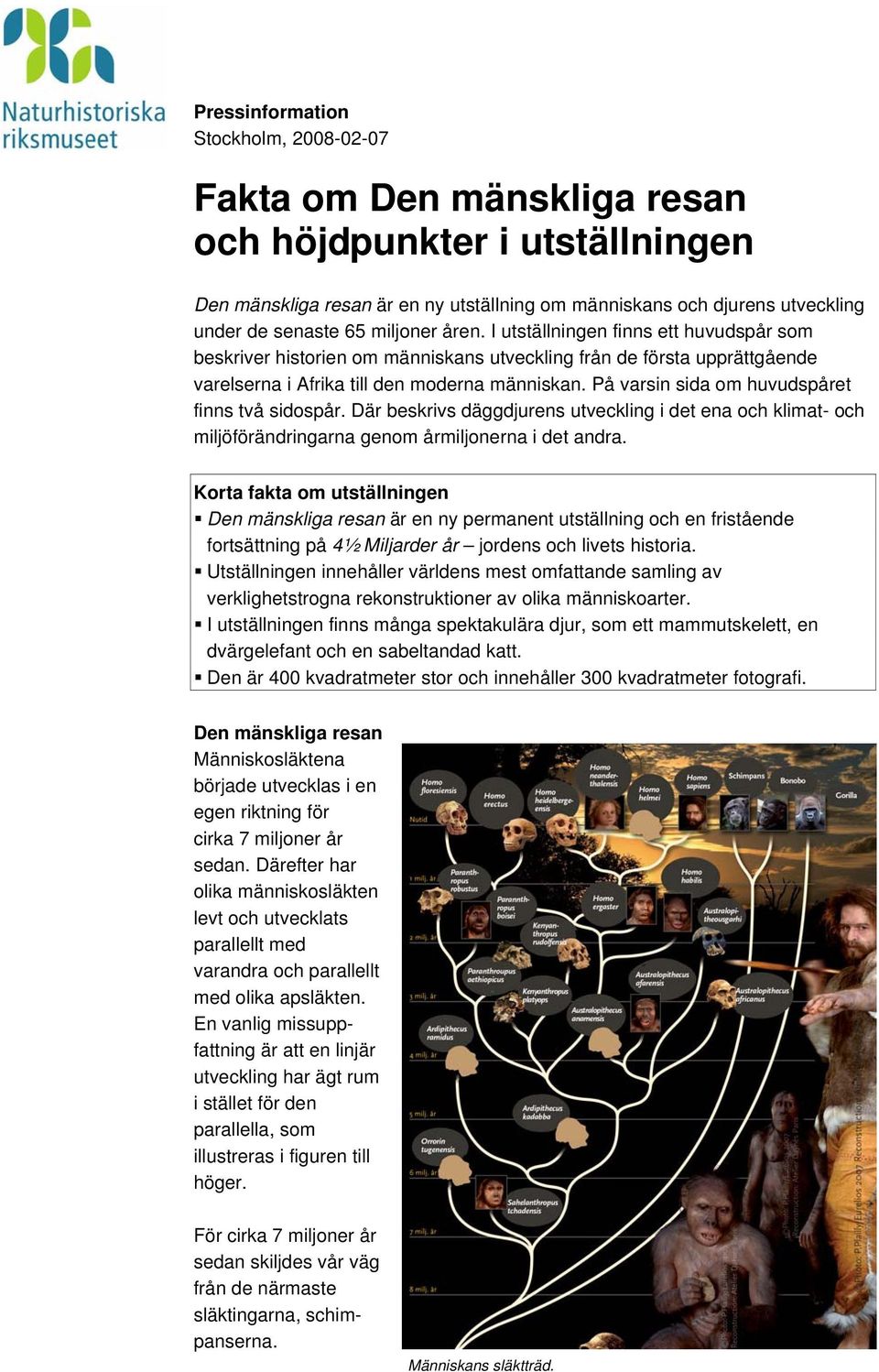 På varsin sida om huvudspåret finns två sidospår. Där beskrivs däggdjurens utveckling i det ena och klimat- och miljöförändringarna genom årmiljonerna i det andra.