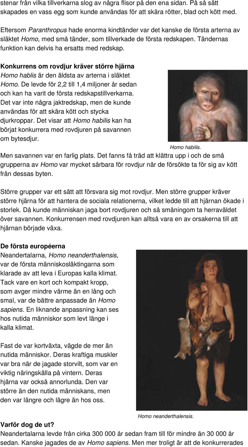 Tändernas funktion kan delvis ha ersatts med redskap. Konkurrens om rovdjur kräver större hjärna Homo hablis är den äldsta av arterna i släktet Homo.