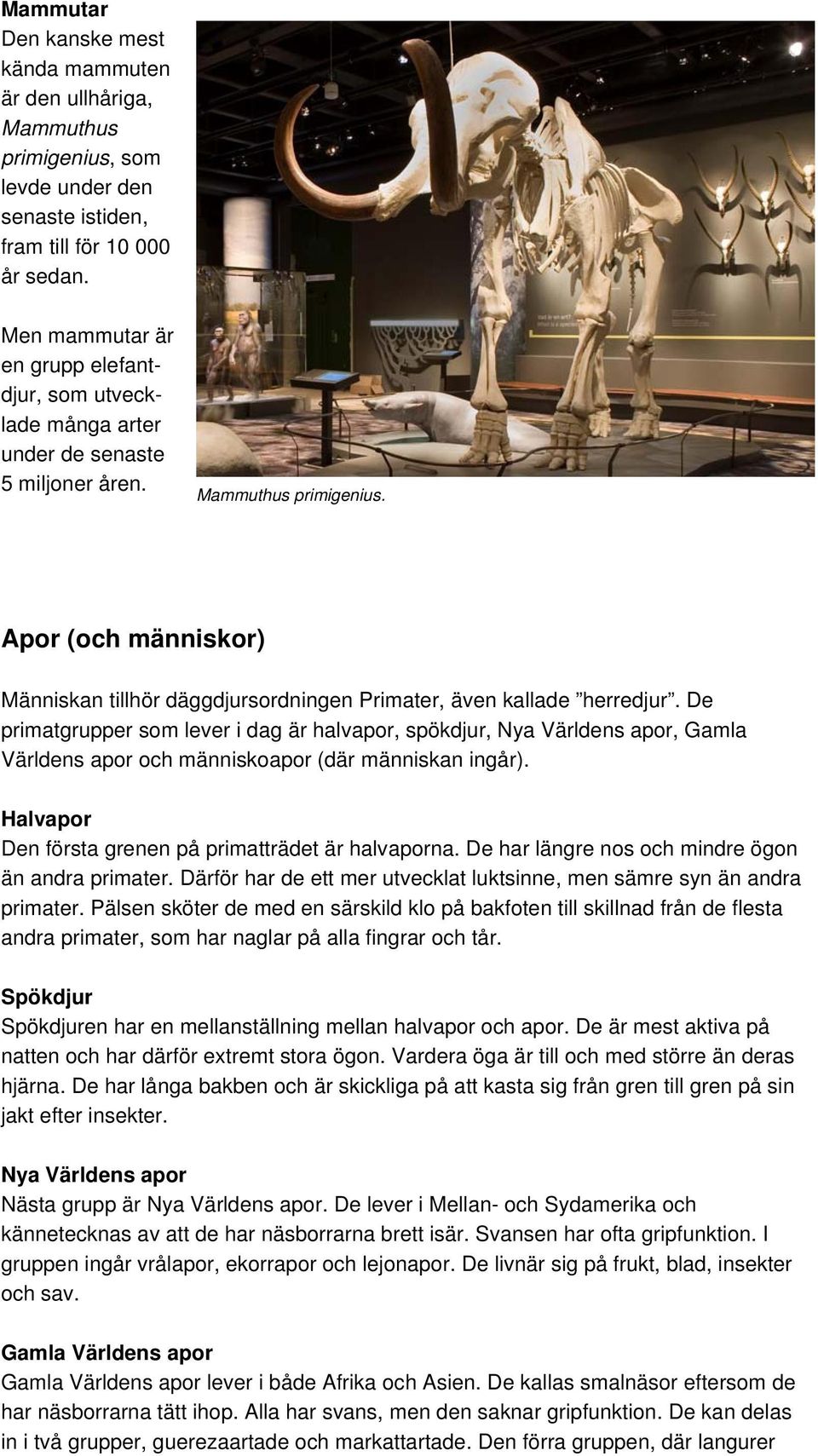Apor (och människor) Människan tillhör däggdjursordningen Primater, även kallade herredjur.