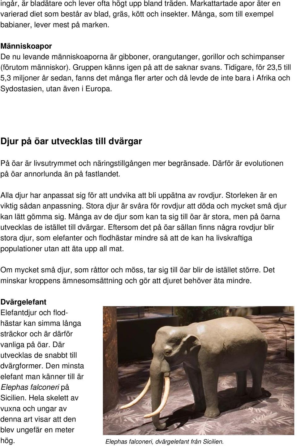 Tidigare, för 23,5 till 5,3 miljoner år sedan, fanns det många fler arter och då levde de inte bara i Afrika och Sydostasien, utan även i Europa.