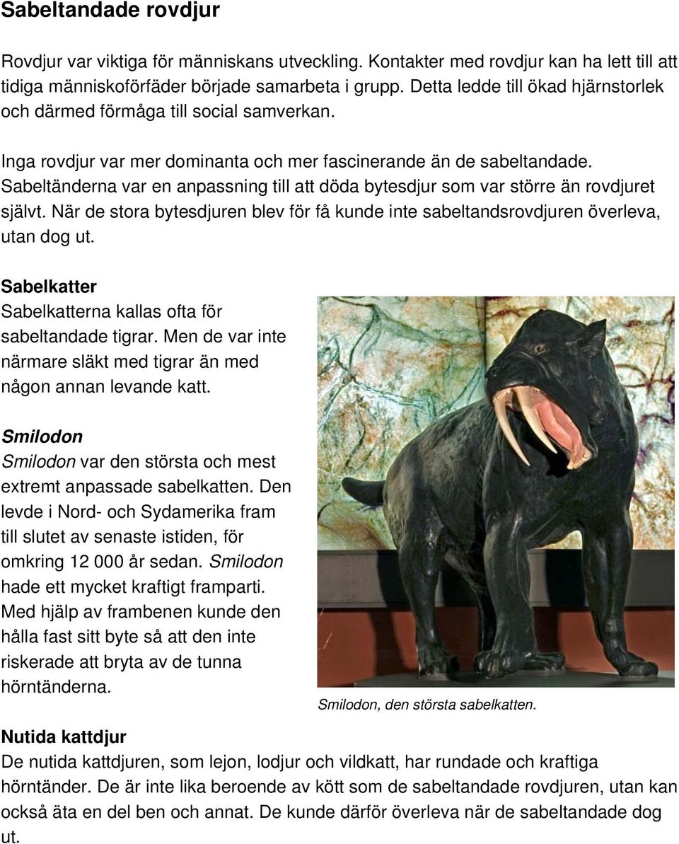 Sabeltänderna var en anpassning till att döda bytesdjur som var större än rovdjuret självt. När de stora bytesdjuren blev för få kunde inte sabeltandsrovdjuren överleva, utan dog ut.