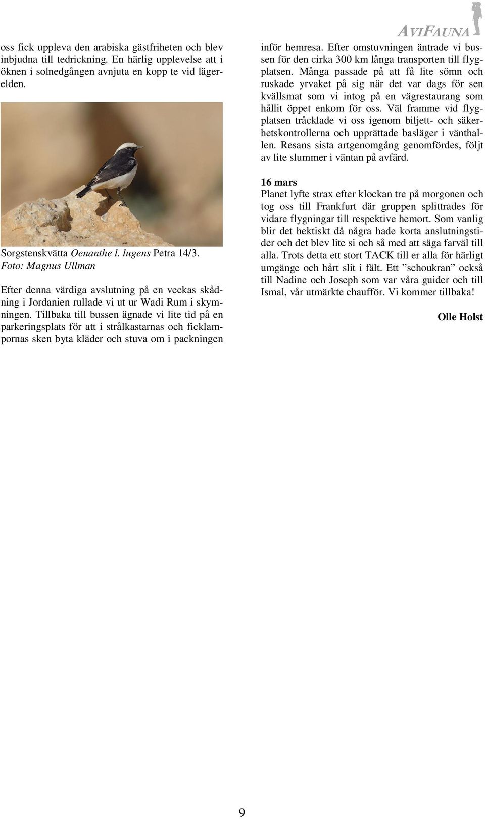 Tillbaka till bussen ägnade vi lite tid på en parkeringsplats för att i strålkastarnas och ficklampornas sken byta kläder och stuva om i packningen AVIFAUNA inför hemresa.
