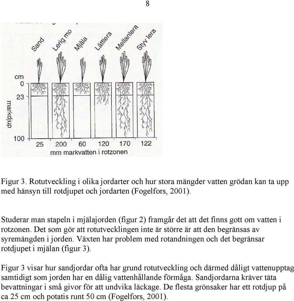 Det som gör att rotutvecklingen inte är större är att den begränsas av syremängden i jorden. Växten har problem med rotandningen och det begränsar rotdjupet i mjälan (figur 3).