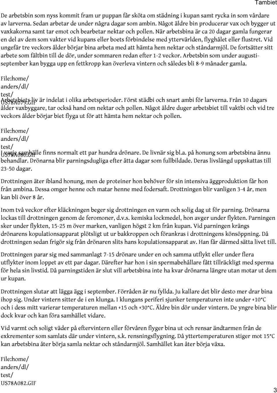 När arbetsbina är ca 20 dagar gamla fungerar en del av dem som vakter vid kupans eller boets förbindelse med yttervärlden, flyghålet eller flustret.