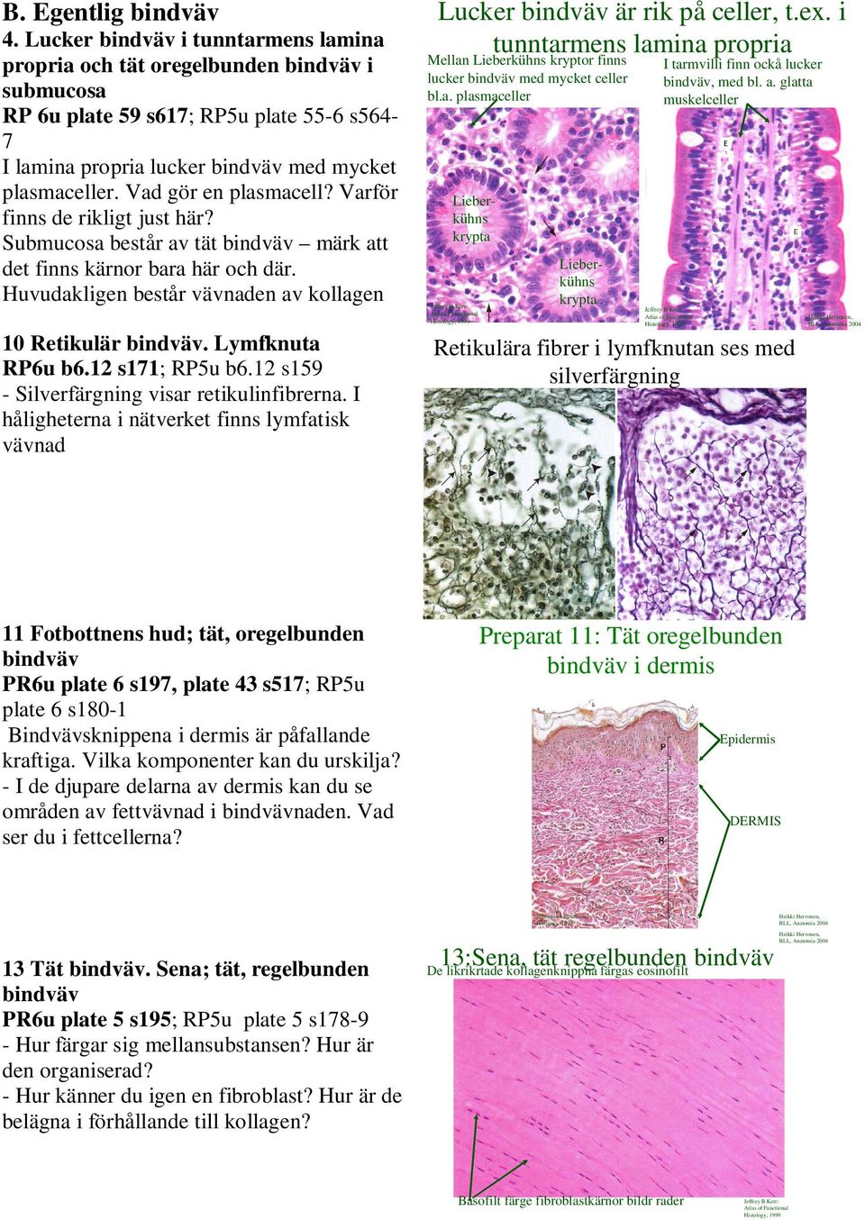 12 s159 - Silverfärgning visar retikulinfibrerna. I håligheterna i nätverket finns lymfatisk vävnad Lucker är rik på celler, t.ex.
