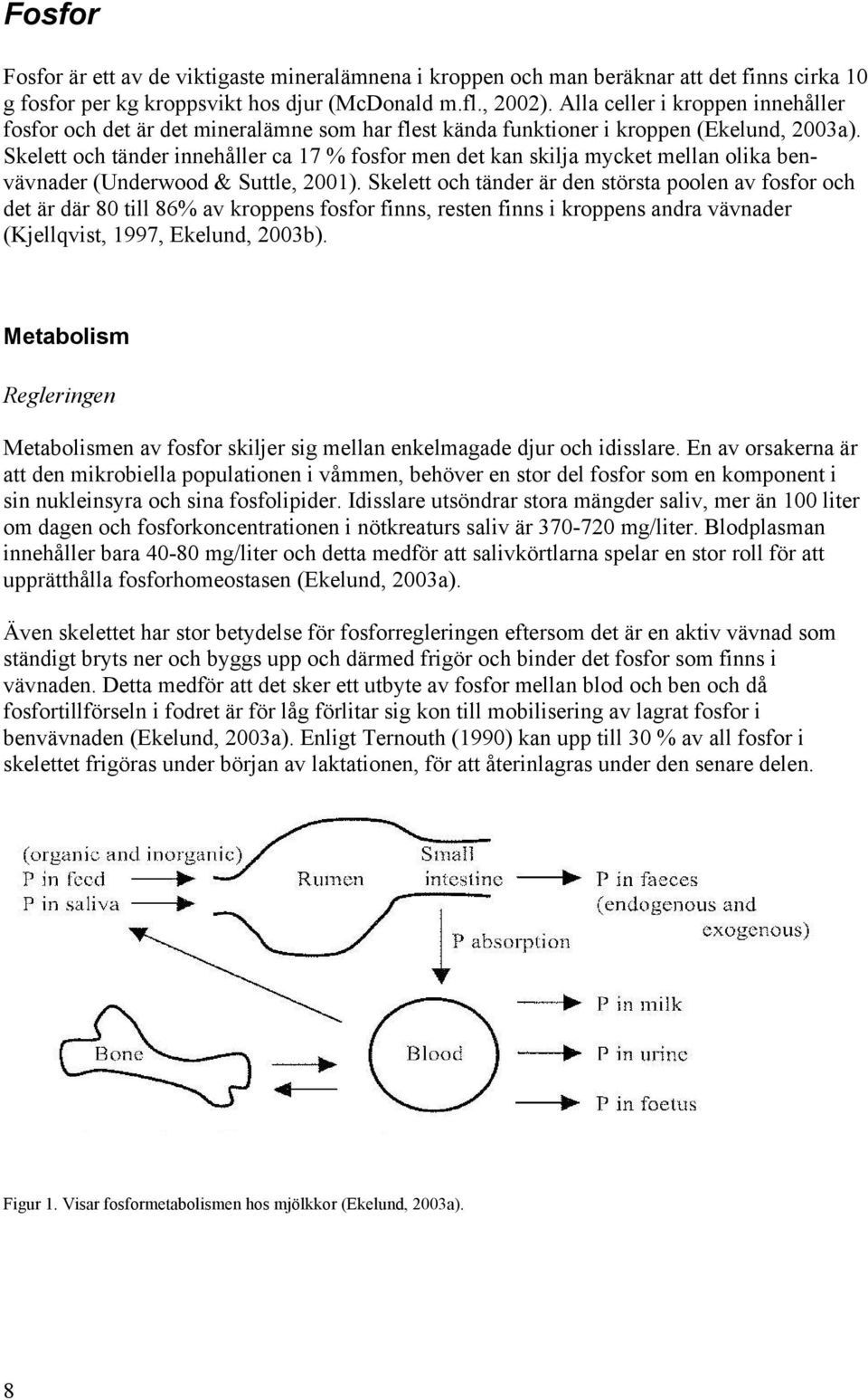 Skelett och tänder innehåller ca 17 % fosfor men det kan skilja mycket mellan olika benvävnader (Underwood & Suttle, 2001).