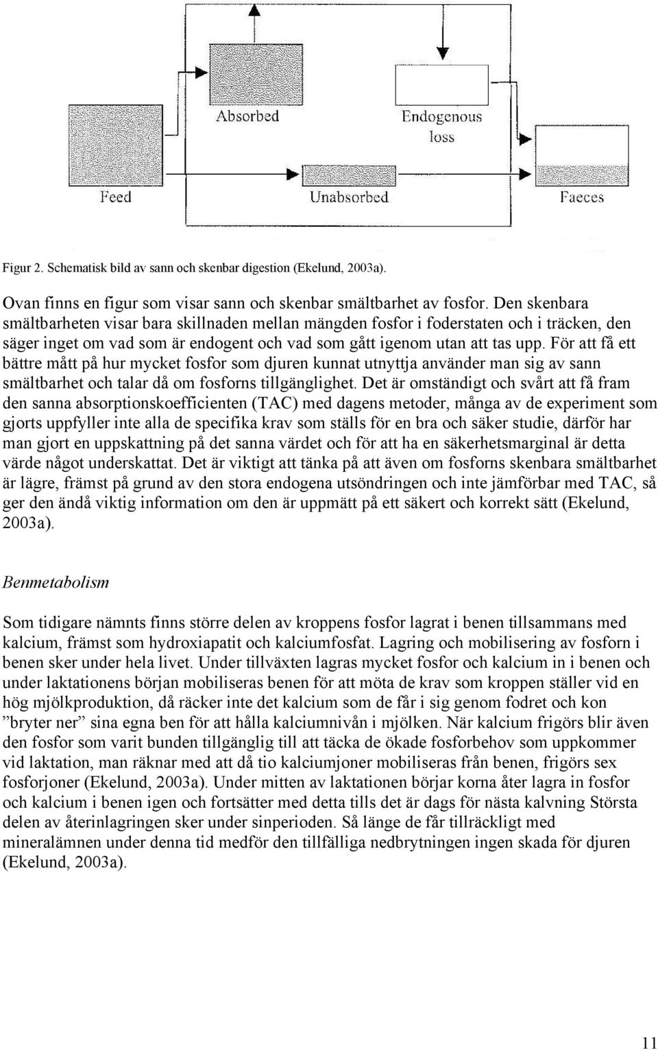 För att få ett bättre mått på hur mycket fosfor som djuren kunnat utnyttja använder man sig av sann smältbarhet och talar då om fosforns tillgänglighet.