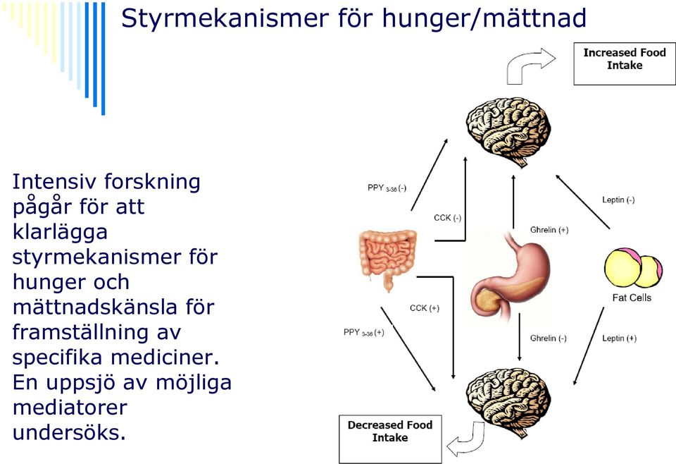 för hunger och mättnadskänsla för framställning av