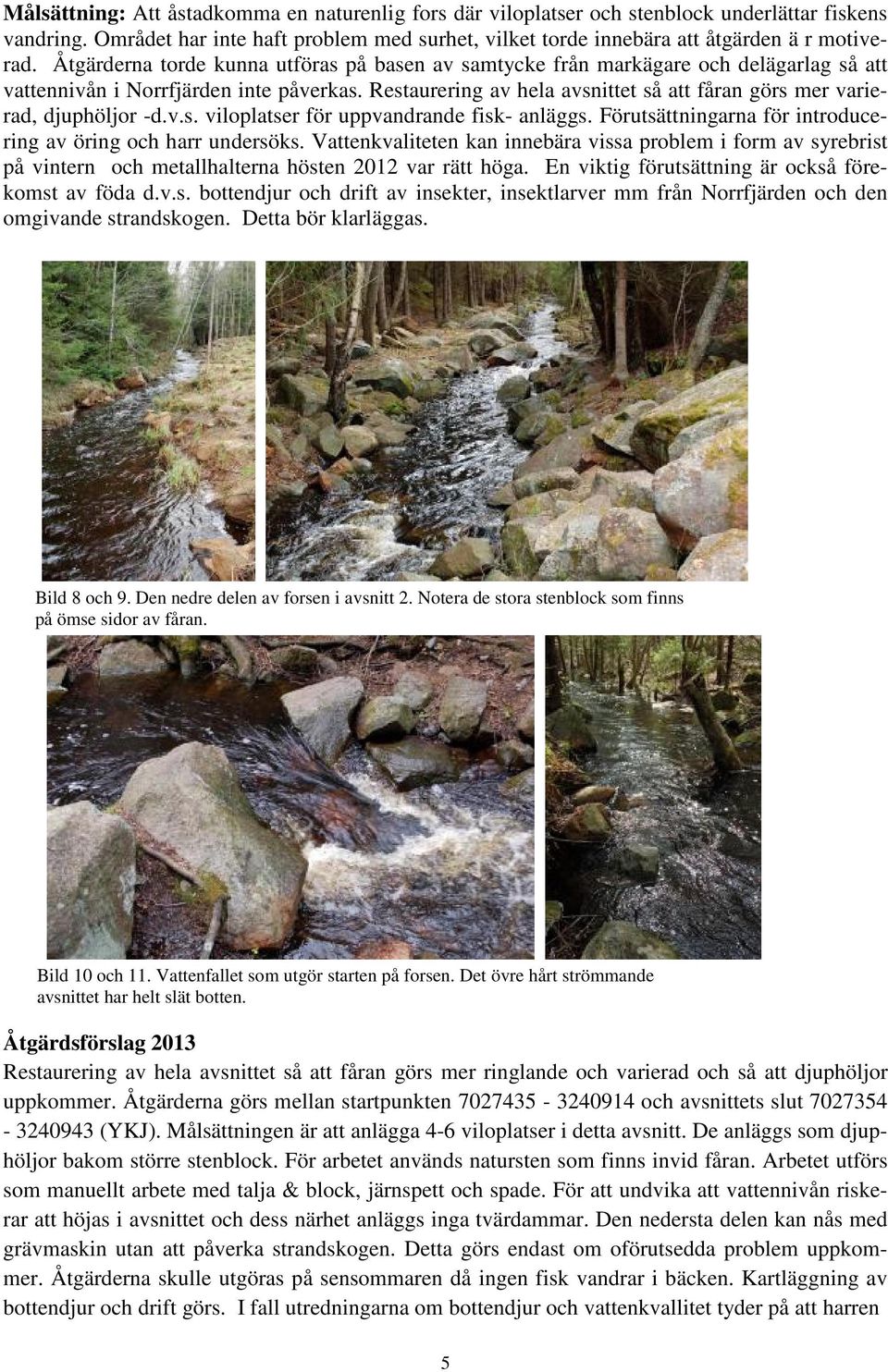 Restaurering av hela avsnittet så att fåran görs mer varierad, djuphöljor -d.v.s. viloplatser för uppvandrande fisk- anläggs. Förutsättningarna för introducering av öring och harr undersöks.