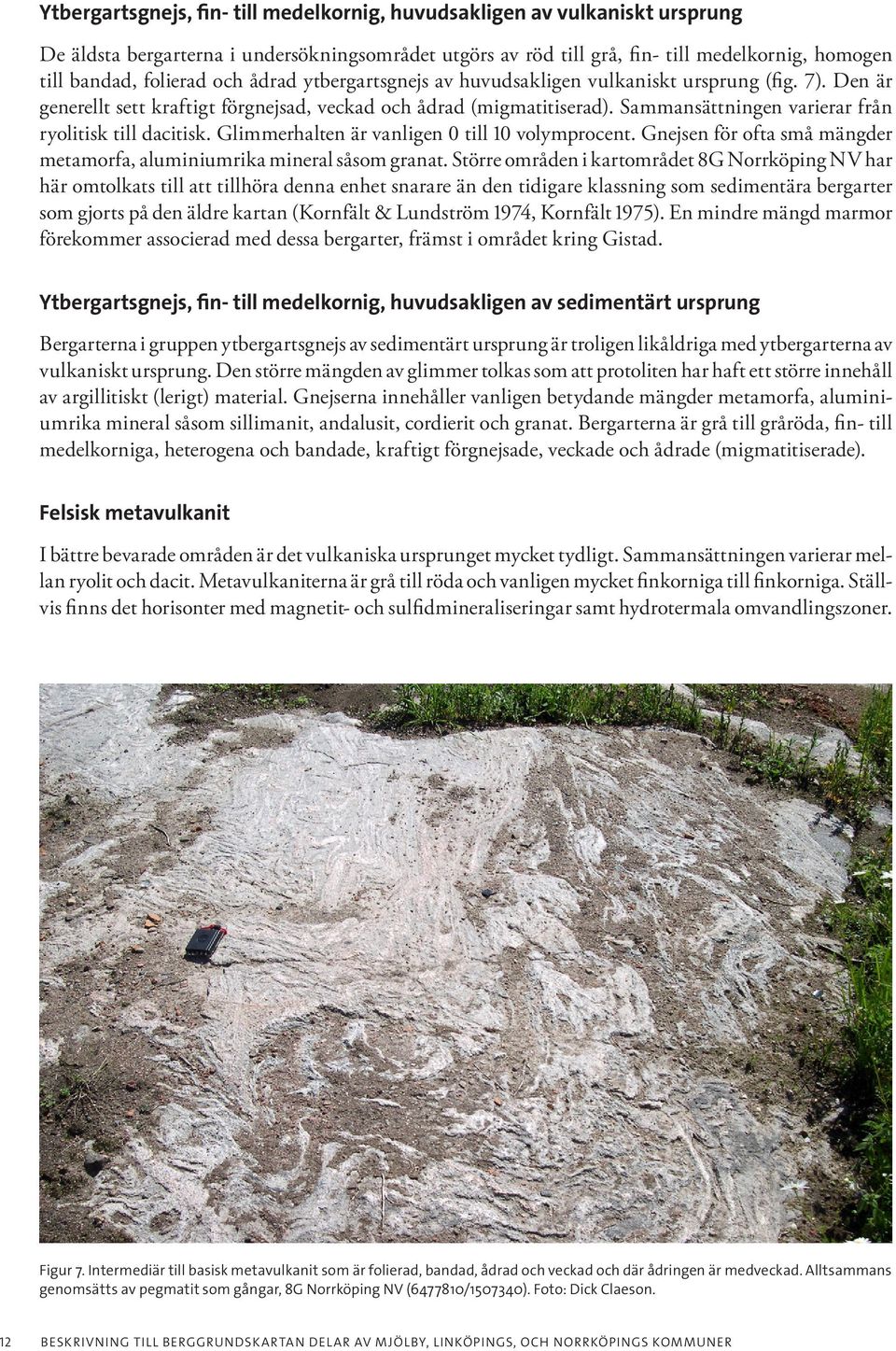 Sammansättningen varierar från ryolitisk till dacitisk. Glimmerhalten är vanligen 0 till 10 volymprocent. Gnejsen för ofta små mängder metamorfa, aluminiumrika mineral såsom granat.