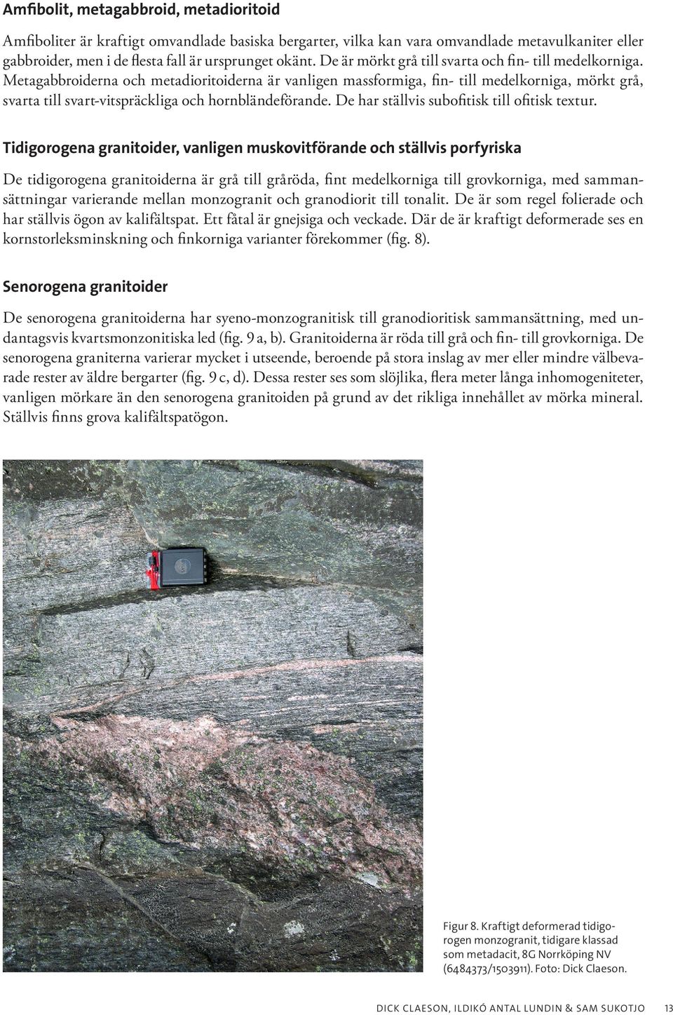 Metagabbroiderna och metadioritoiderna är vanligen massformiga, fin- till medelkorniga, mörkt grå, svarta till svart-vitspräckliga och hornbländeförande.
