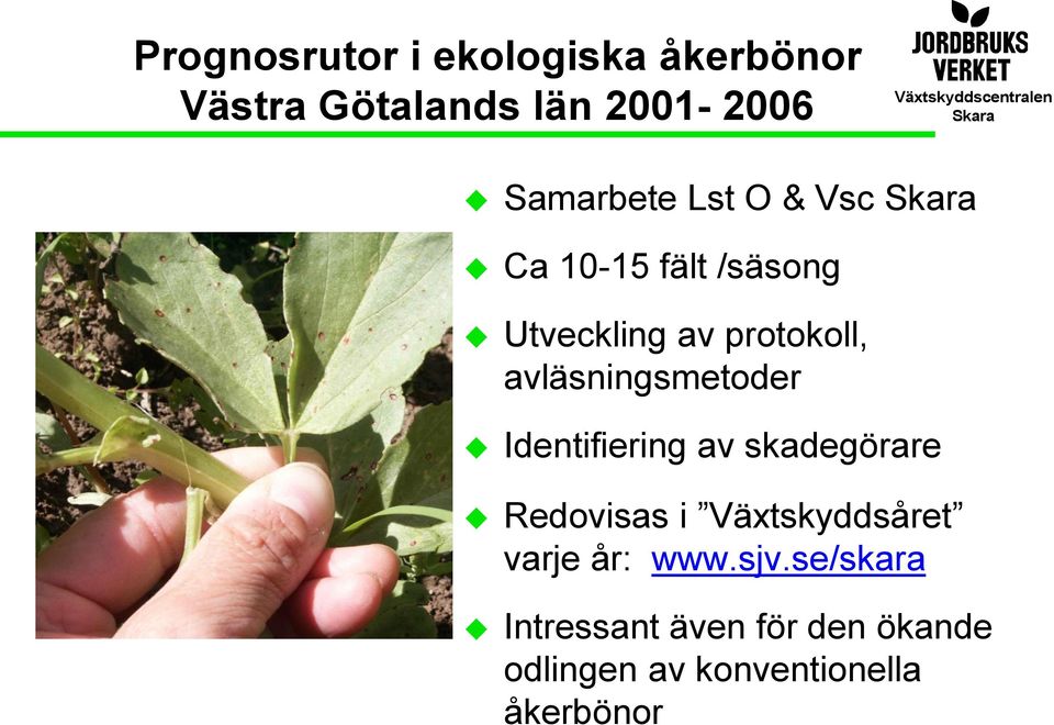 avläsningsmetoder Identifiering av skadegörare Redovisas i Växtskyddsåret