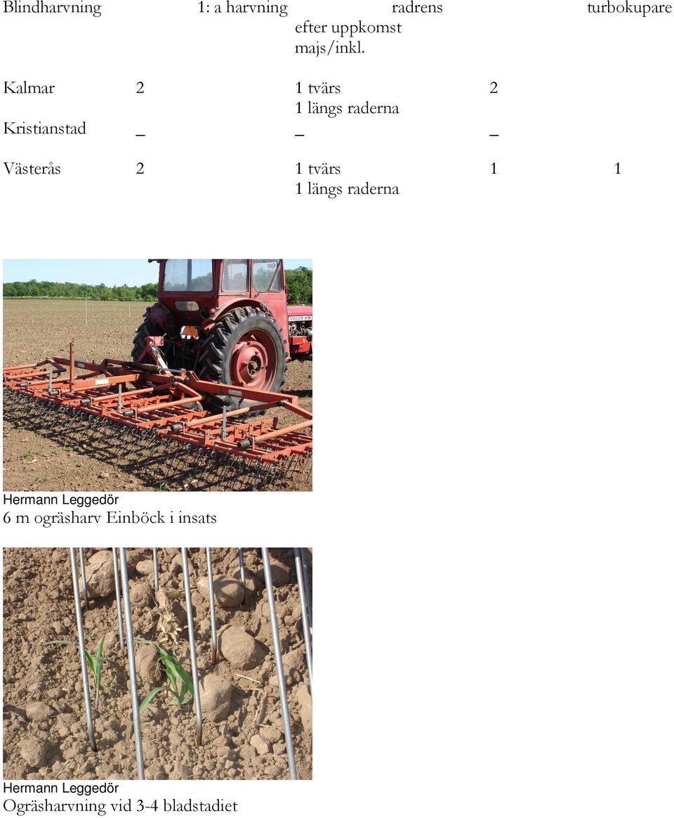 Ogräsharvning vid 3-4 bladstadiet radrens efter uppkomst majs/inkl.
