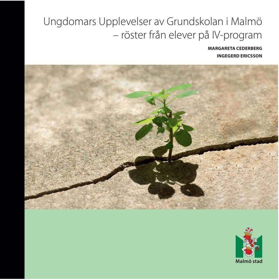 från elever på IV-program