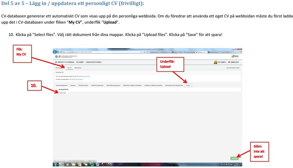Om du föredrar att använda ett eget CV på webbsidan måste du först ladda upp det i CV-databasen