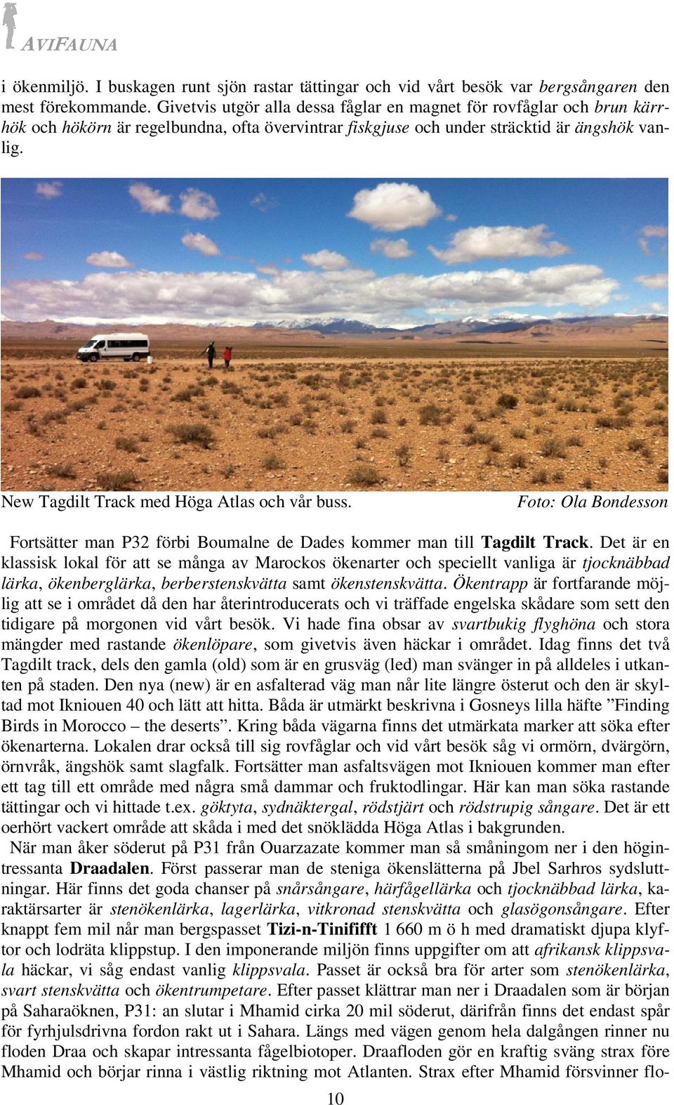New Tagdilt Track med Höga Atlas och vår buss. Foto: Ola Bondesson Fortsätter man P32 förbi Boumalne de Dades kommer man till Tagdilt Track.