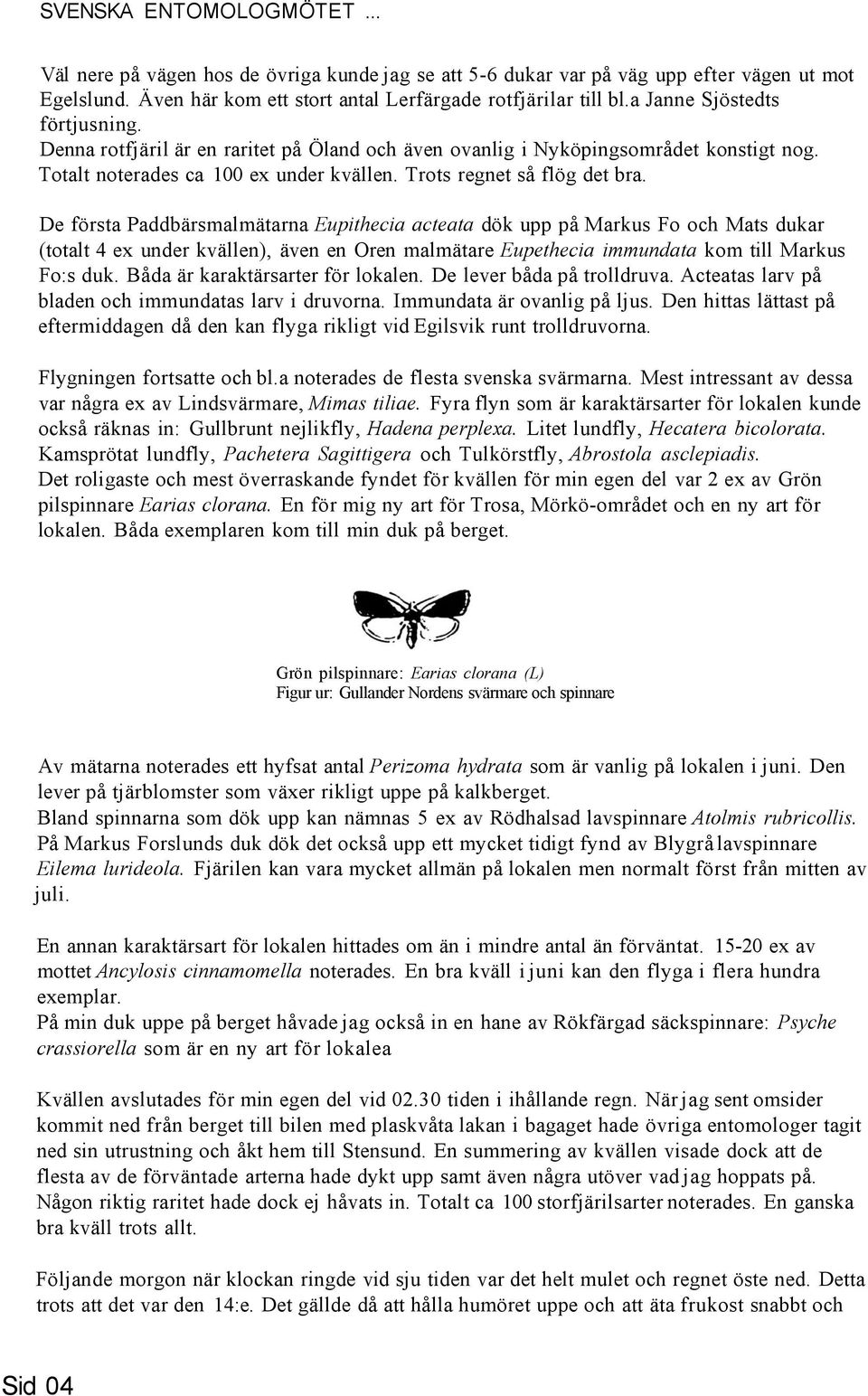 De första Paddbärsmalmätarna Eupithecia acteata dök upp på Markus Fo och Mats dukar (totalt 4 ex under kvällen), även en Oren malmätare Eupethecia immundata kom till Markus Fo:s duk.