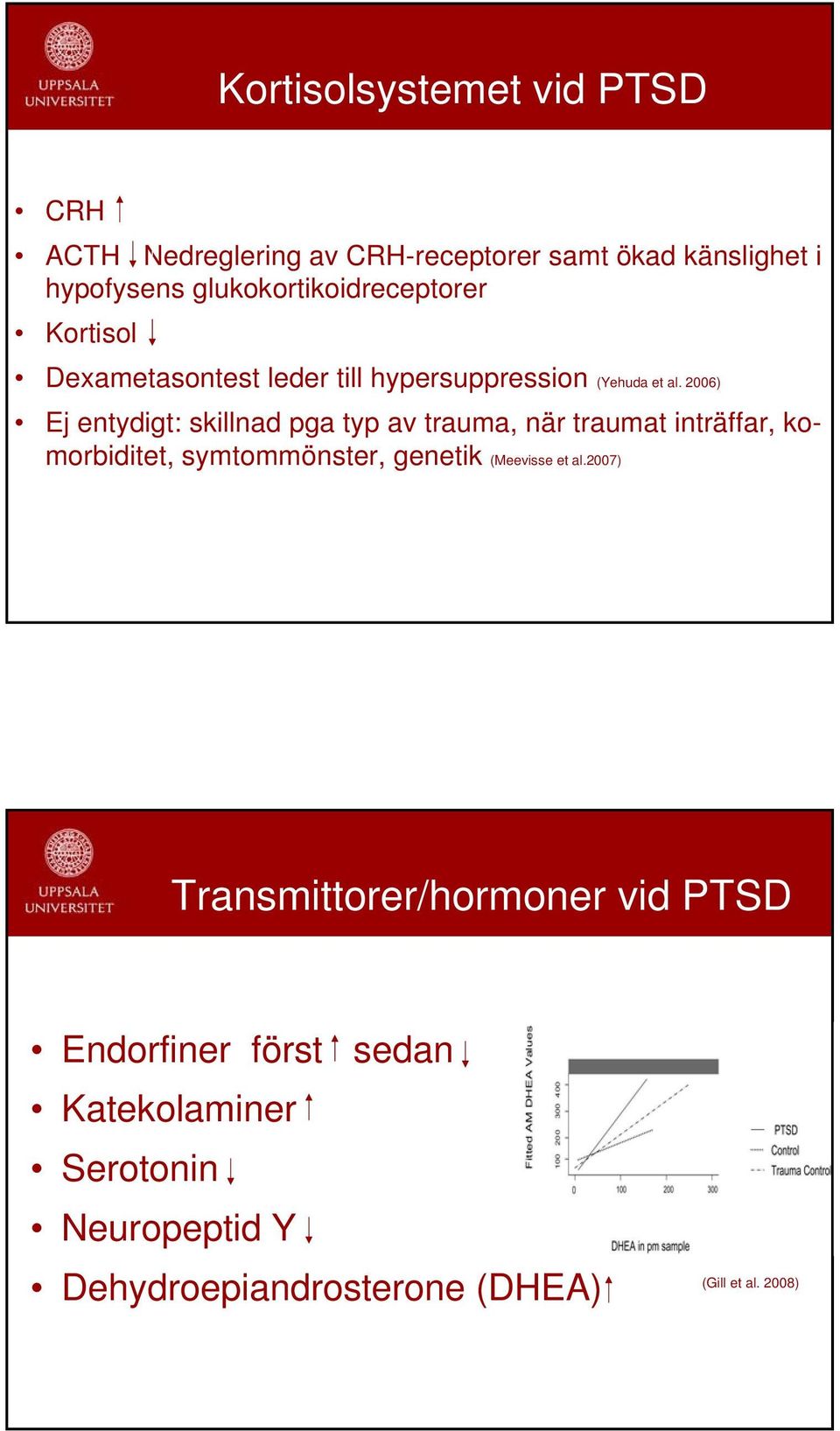 2006) Ej entydigt: skillnad pga typ av trauma, när traumat inträffar, komorbiditet, symtommönster, genetik