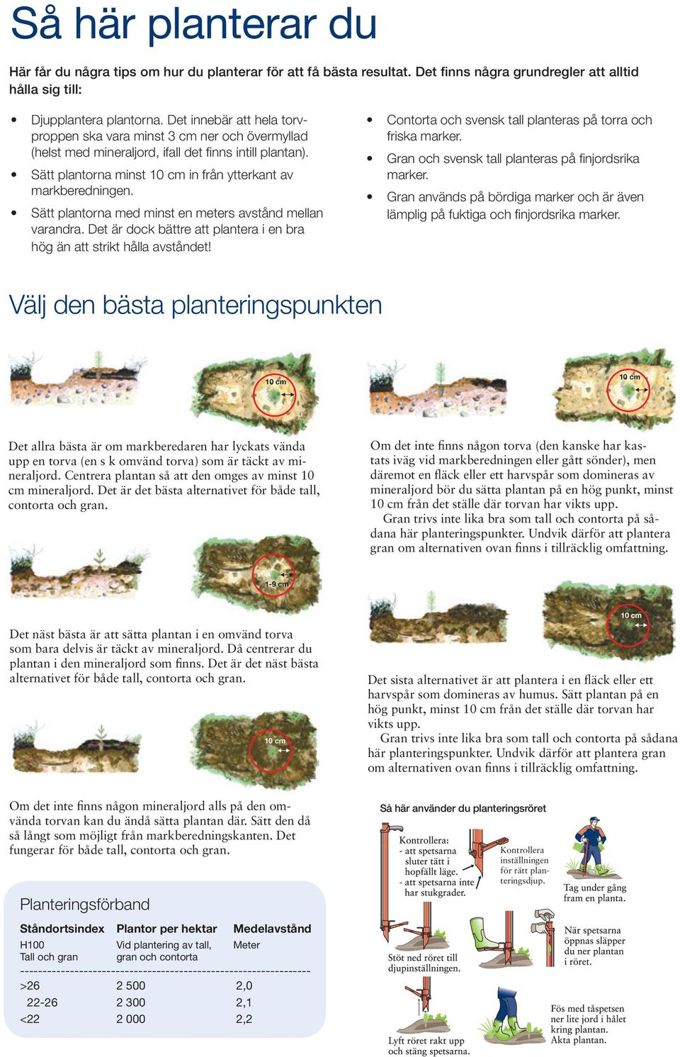 Sätt plantorna med minst en meters avstånd mellan varandra. Det är dock bättre att plantera i en bra hög än att strikt hålla avståndet! Contorta och svensk tall planteras på torra och friska marker.