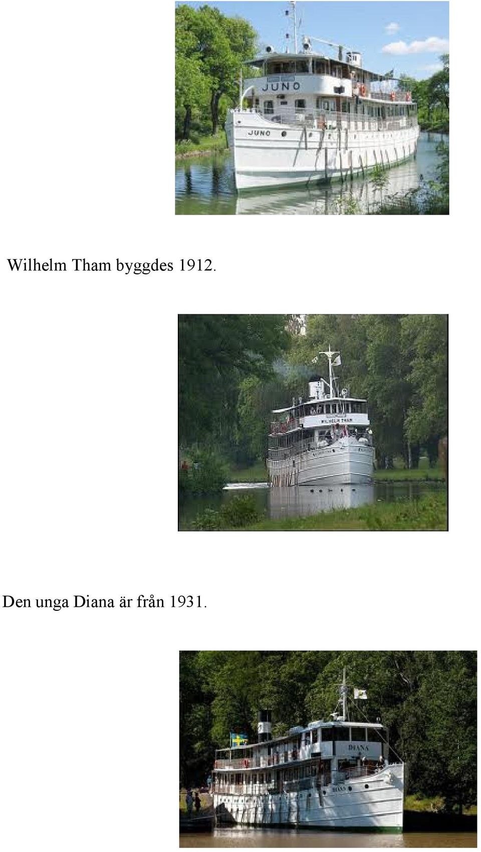 Den unga