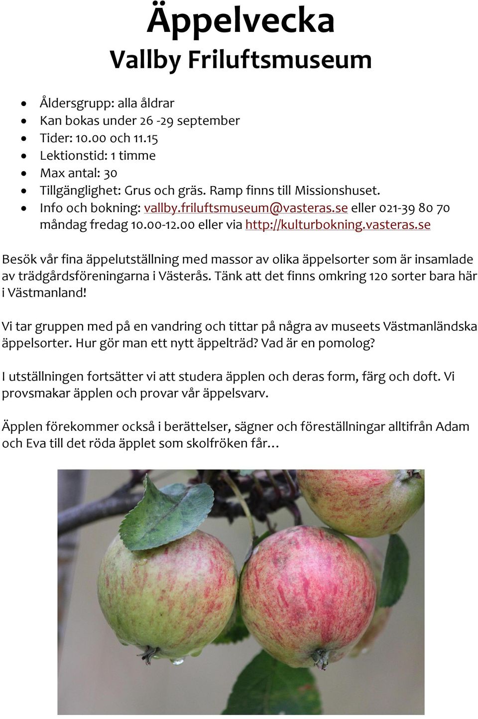 Tänk att det finns omkring 120 sorter bara här i Västmanland! Vi tar gruppen med på en vandring och tittar på några av museets Västmanländska äppelsorter. Hur gör man ett nytt äppelträd?