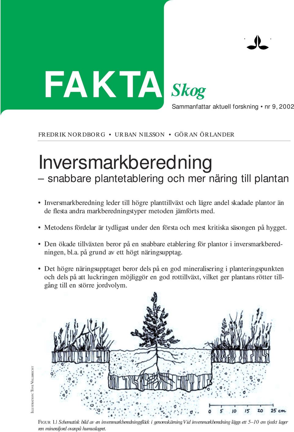 Den ökade tillväxten beror på en snabbare etablering för plantor i inversmarkberedningen, bl.a. på grund av ett högt näringsupptag.