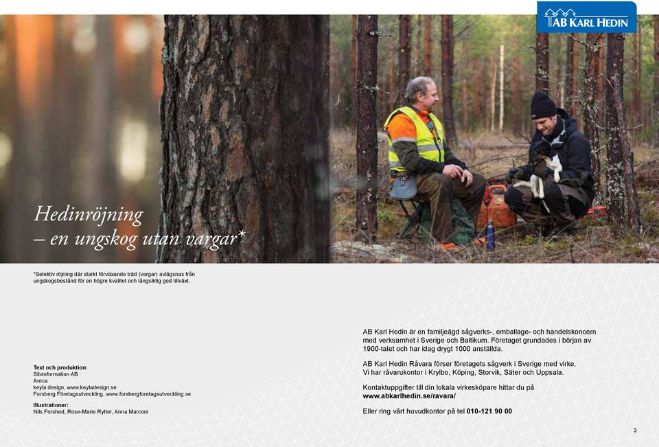 Text och produktion: Silvinformation AB Areca keyla design, www.keyladesign.se Forsberg Företagsutveckling, www.forsbergforetagsutveckling.