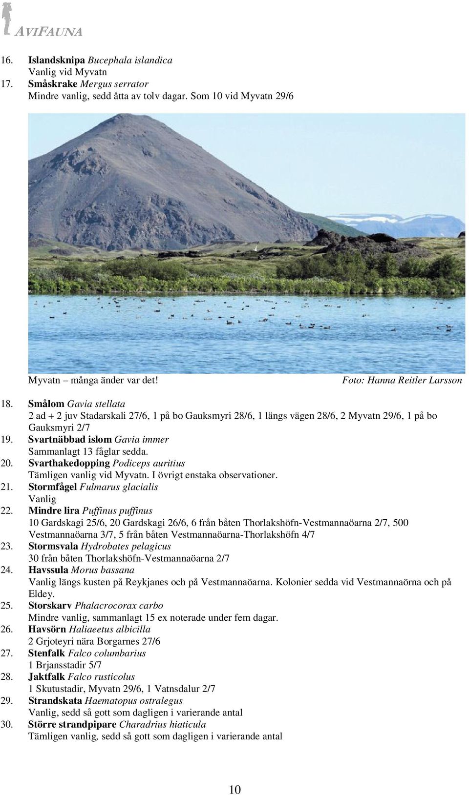 Svarthakedopping Podiceps auritius Tämligen vanlig vid Myvatn. I övrigt enstaka observationer. 21. Stormfågel Fulmarus glacialis Vanlig 22.