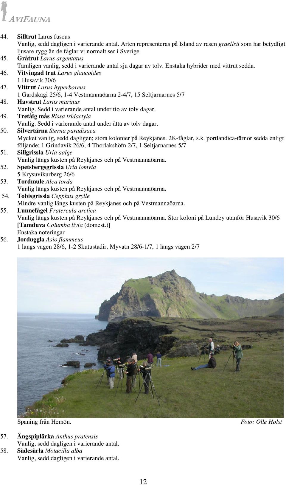 Vittrut Larus hyperboreus 1 Gardskagi 25/6, 1-4 Vestmannaöarna 2-4/7, 15 Seltjarnarnes 5/7 48. Havstrut Larus marinus Vanlig. Sedd i varierande antal under tio av tolv dagar. 49.