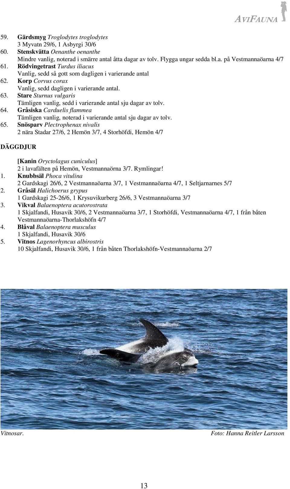 Stare Sturnus vulgaris Tämligen vanlig, sedd i varierande antal sju dagar av tolv. 64. Gråsiska Carduelis flammea Tämligen vanlig, noterad i varierande antal sju dagar av tolv. 65.