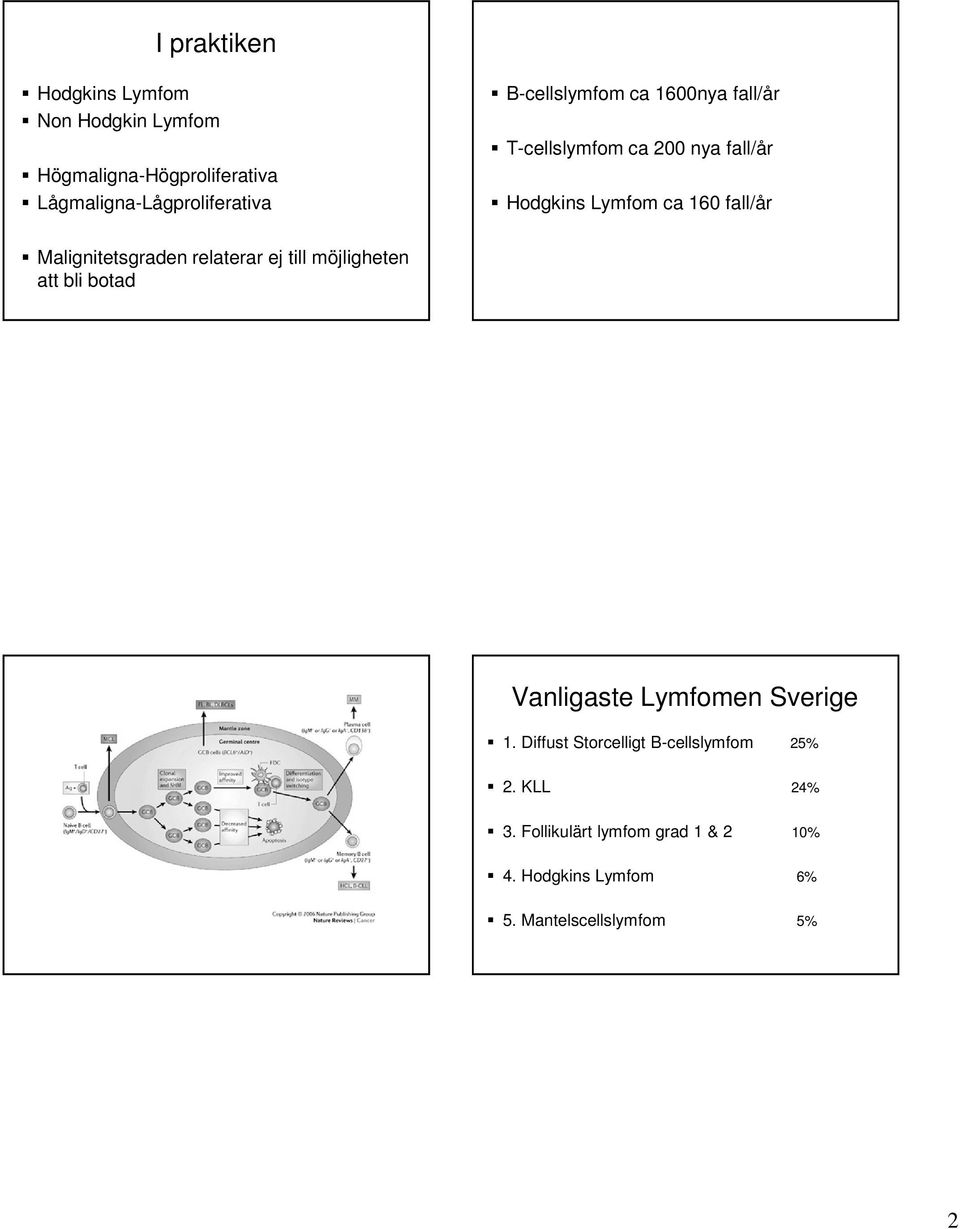 Malignitetsgraden relaterar ej till möjligheten att bli botad Vanligaste Lymfomen Sverige 1.