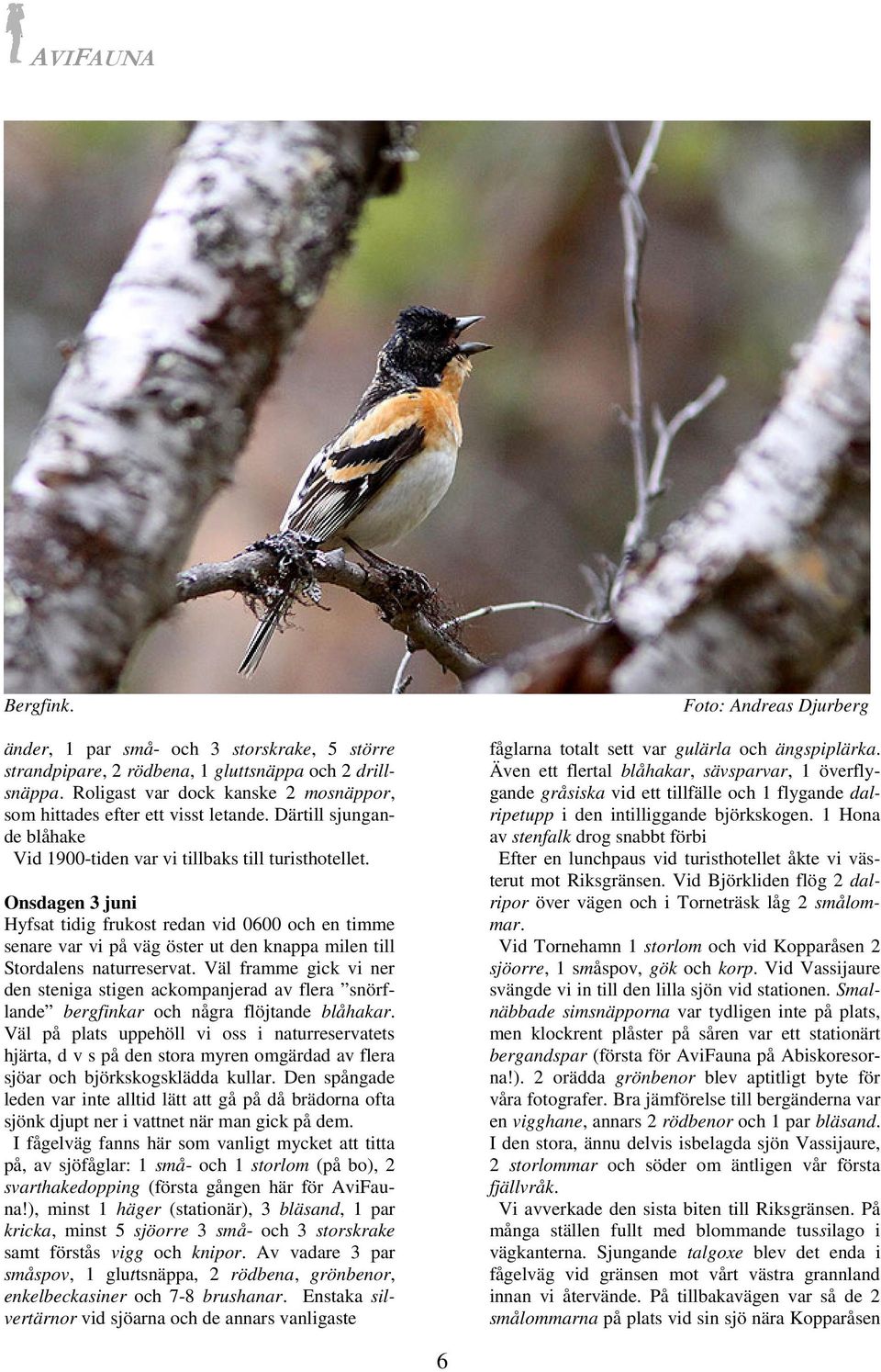Onsdagen 3 juni Hyfsat tidig frukost redan vid 0600 och en timme senare var vi på väg öster ut den knappa milen till Stordalens naturreservat.