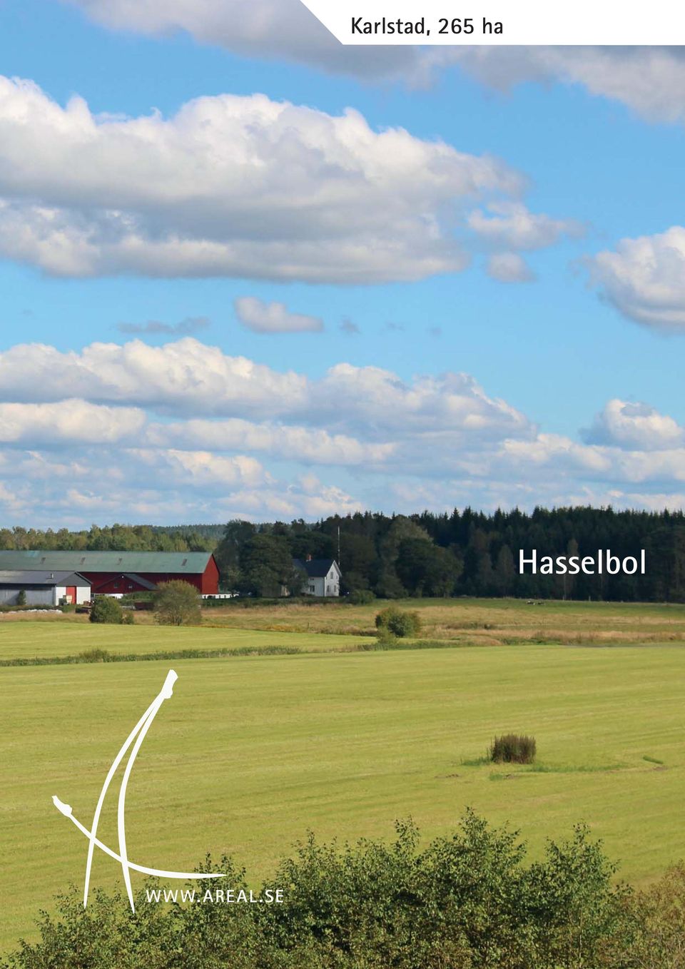 Hasselbol