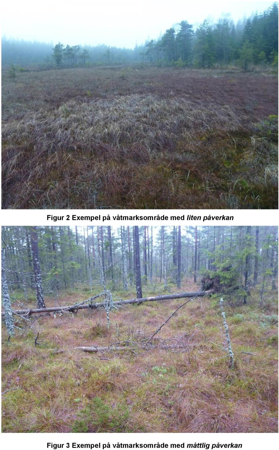 påverkan Figur 3 Exempel