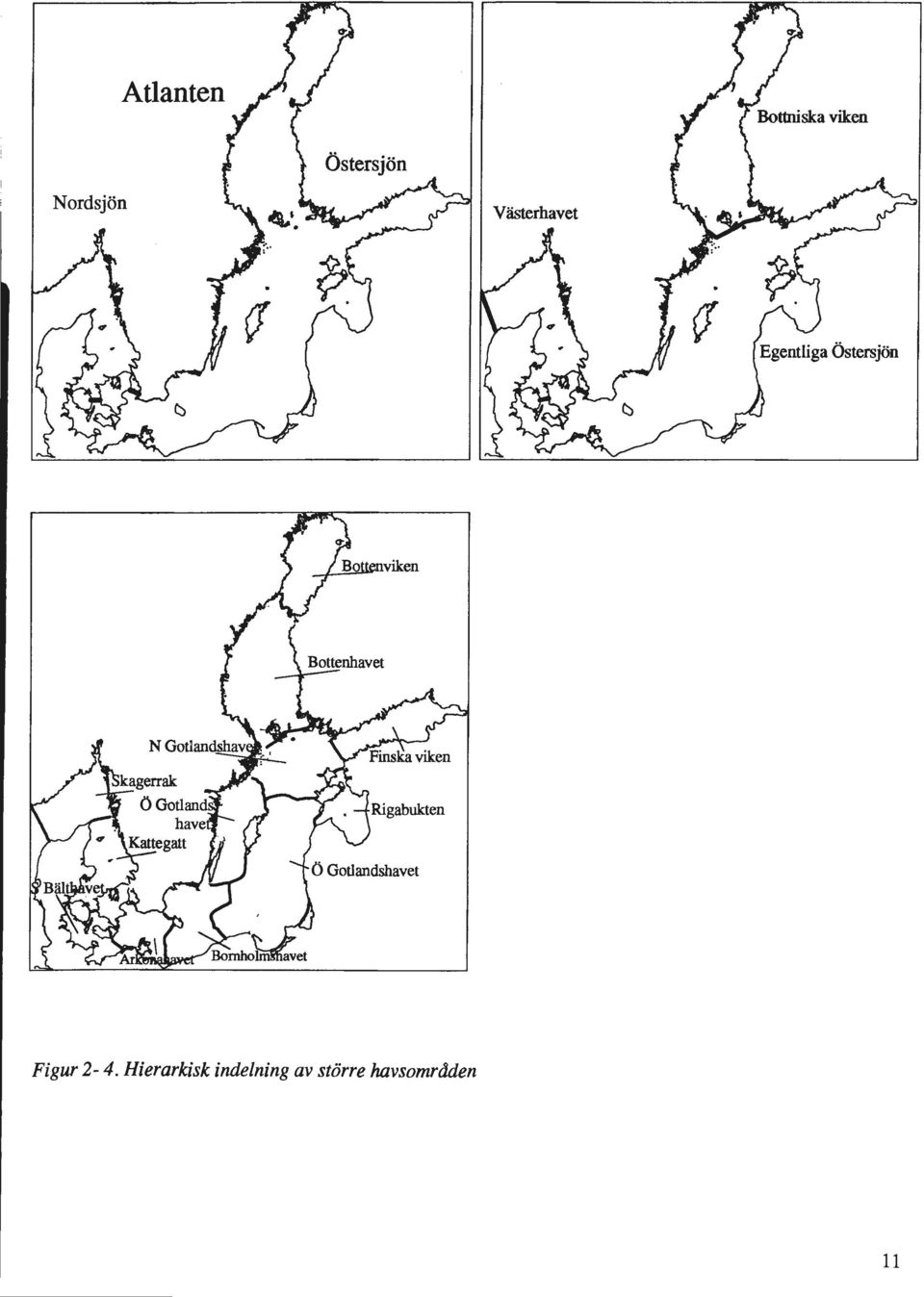 indelning av